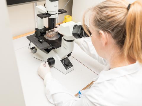 Molecular and Cell Biology Facility
