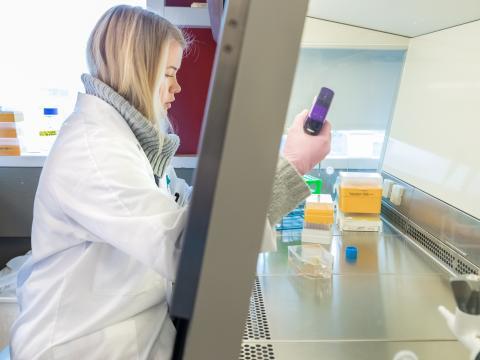 Molecular and Cell Biology Facility