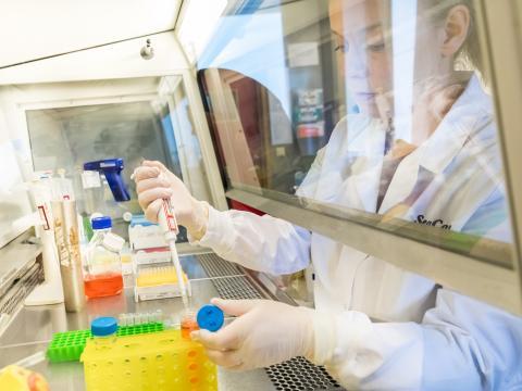 Molecular and Cell Biology Facility