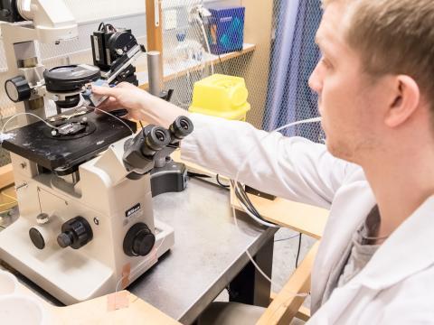 Electrophysiology