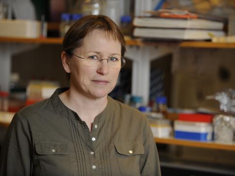 Marta Guðjónsdóttir